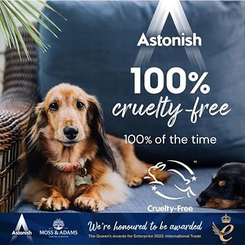 Astonish Specialist Machine Carpet Cleaner 1000ml Solution Deep Odor Lifting Shampoo for Wool & Synthetic Rugs Stain Remover Concentrate for Major Cleaning Units, Fresh Scent