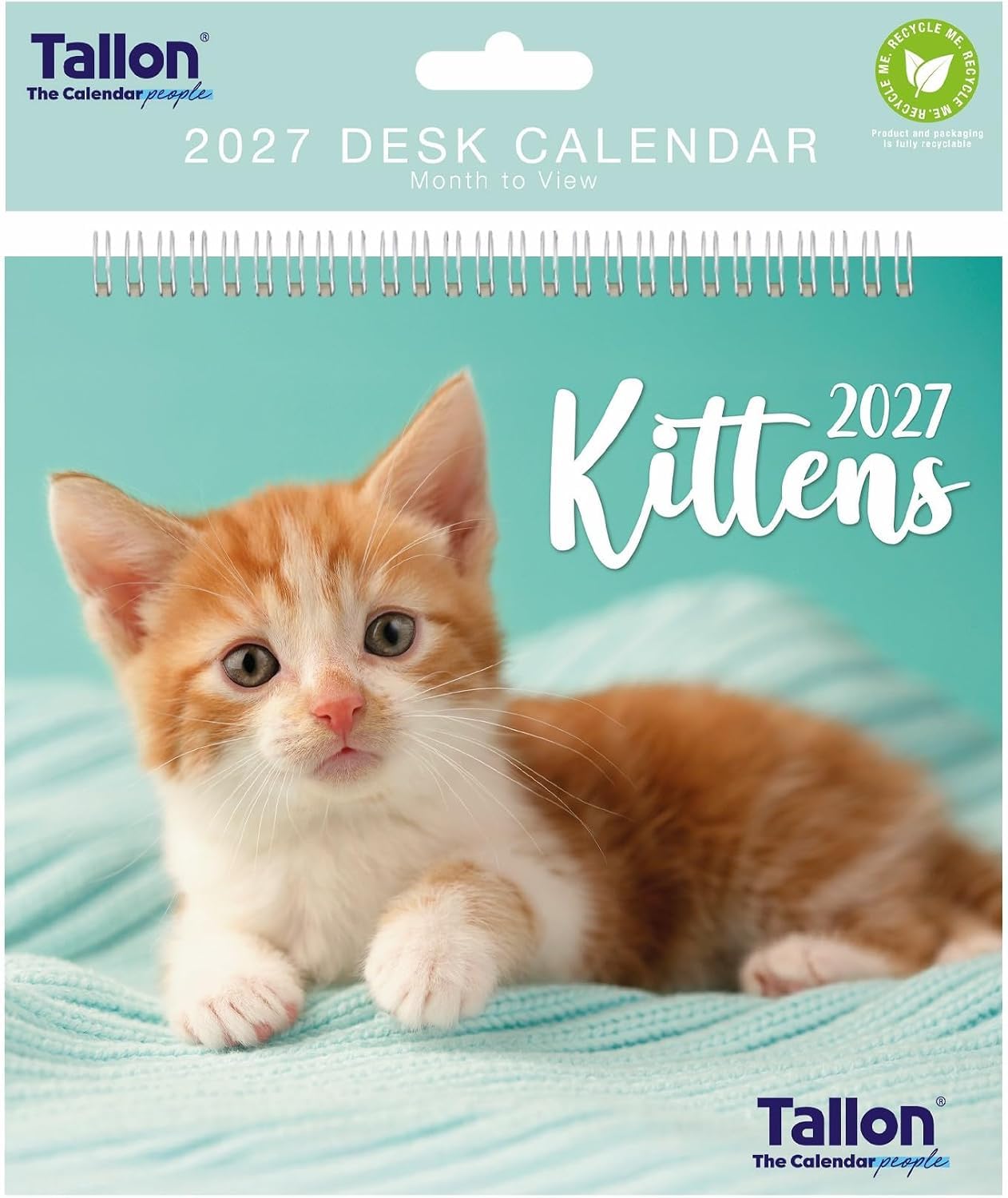 2027 Kittens Desk Calendar Planner Month To View Flip Organiser Cats