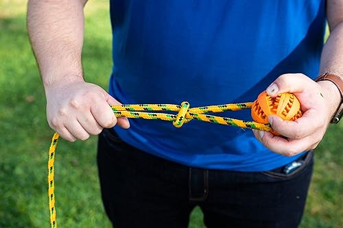 Miniatura 7 de Juguete de cuerda y pelota para perros para entrenamiento de perros, ejercicio, agilidad, persecución, tirones y tira y afloja, cuerda de 10 pies,
