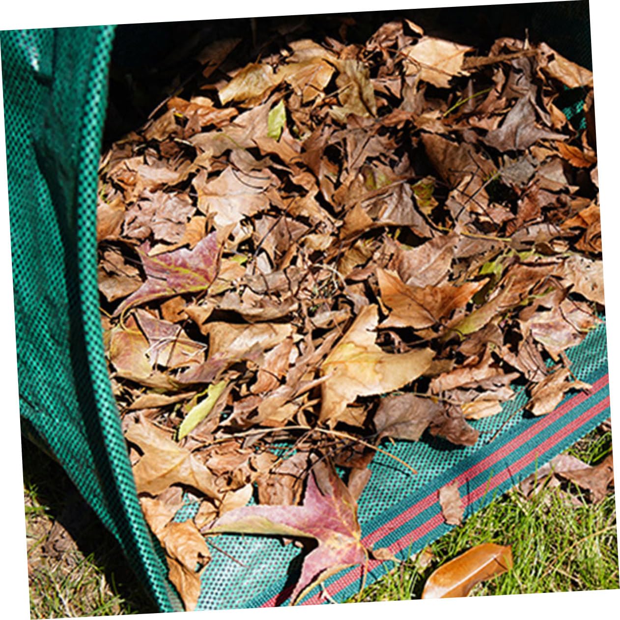 Halbrunder Laubsammelsack 1 Stück, Großer Pp Gartenbeutel Grün