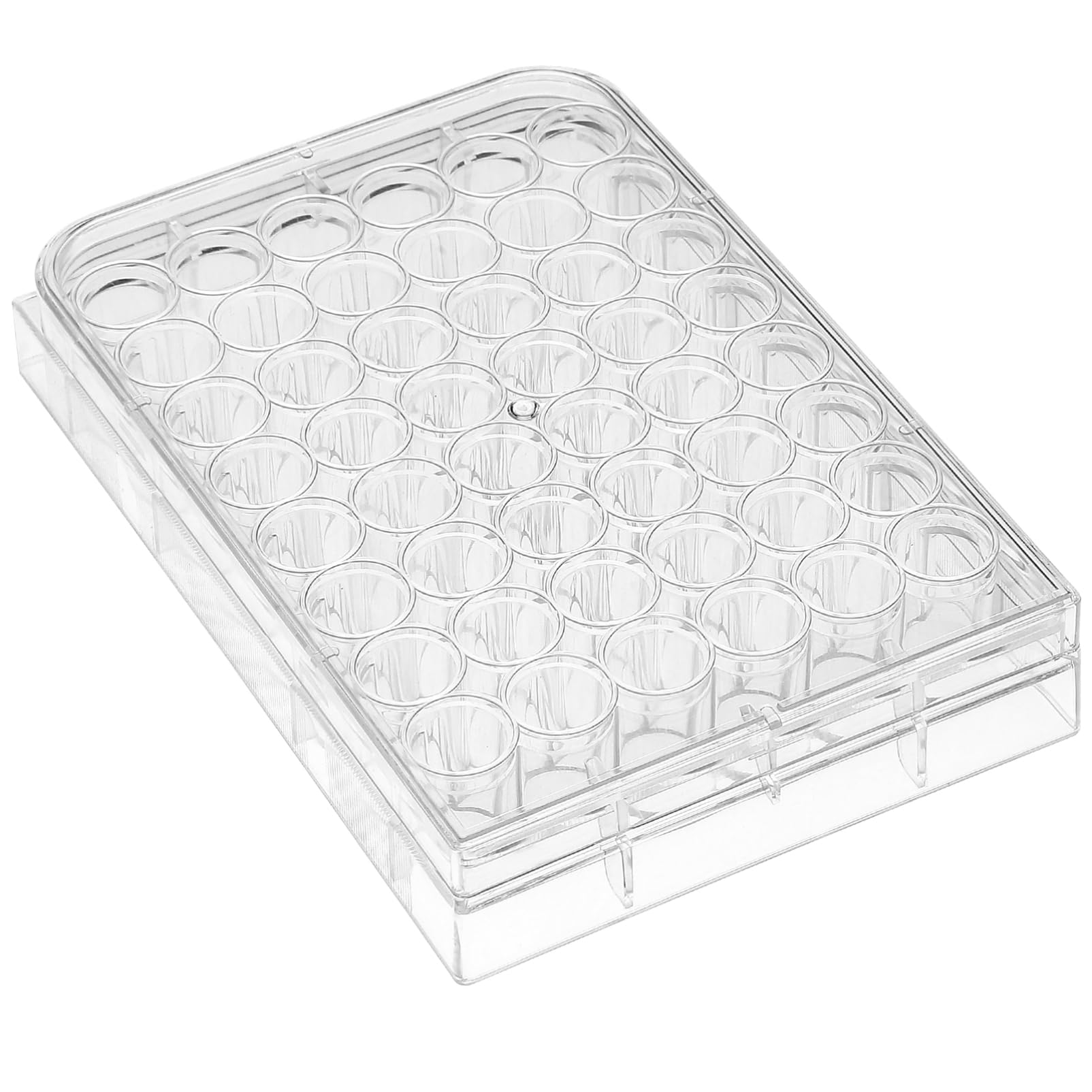 Piastra In Plastica Piastra Per Coltura Cellulare Da 24