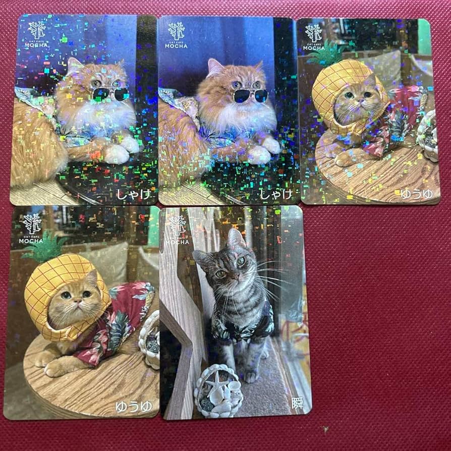 猫カフェmocha高崎店　にゃんずトレカ SNSで話題沸騰中！各店舗限定、当たり付きにゃんこトレカが夏ver