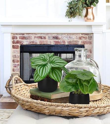 Miniatura 4 de Briful 3 plantas artificiales en maceta, mini plantas artificiales en macetas de cerámica negra, decoración de vegetación para el hogar, oficina,