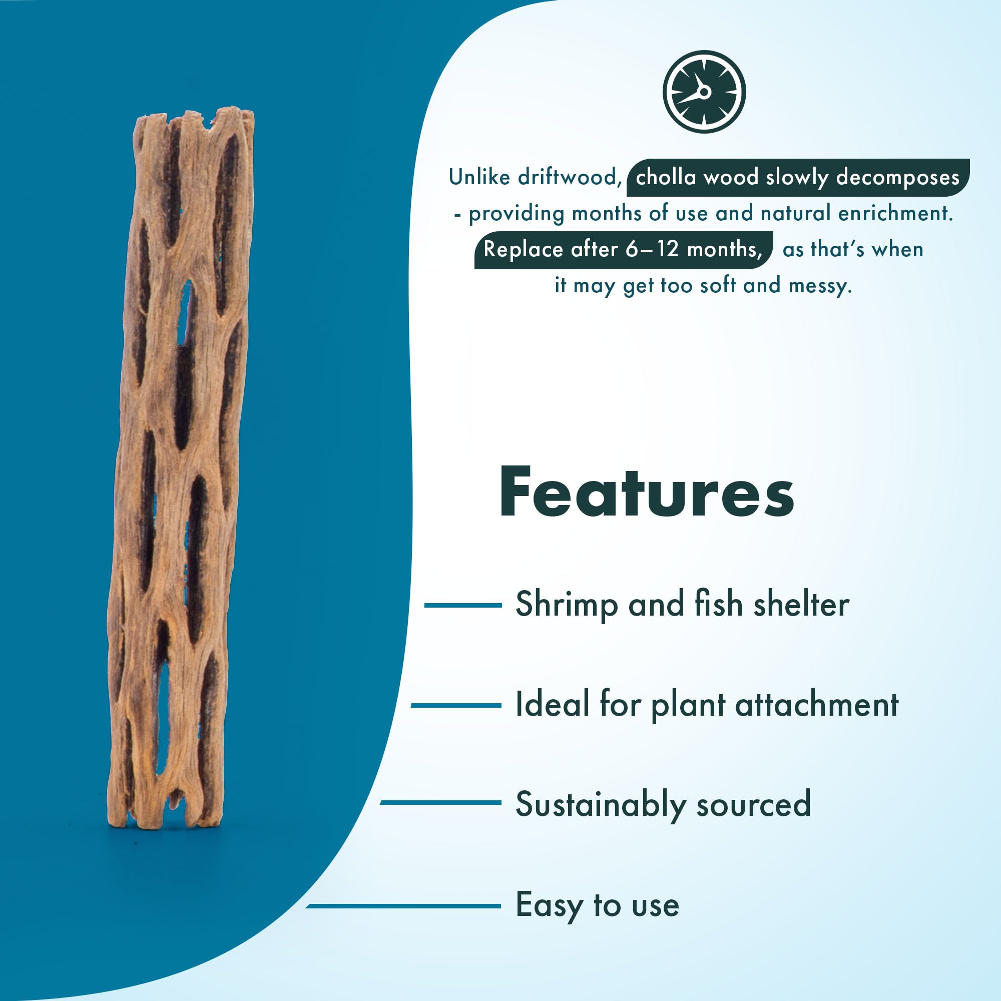 SubstrateSource Drewno Cholla do akwarium Driftwood 15 cm - 2 sztuki