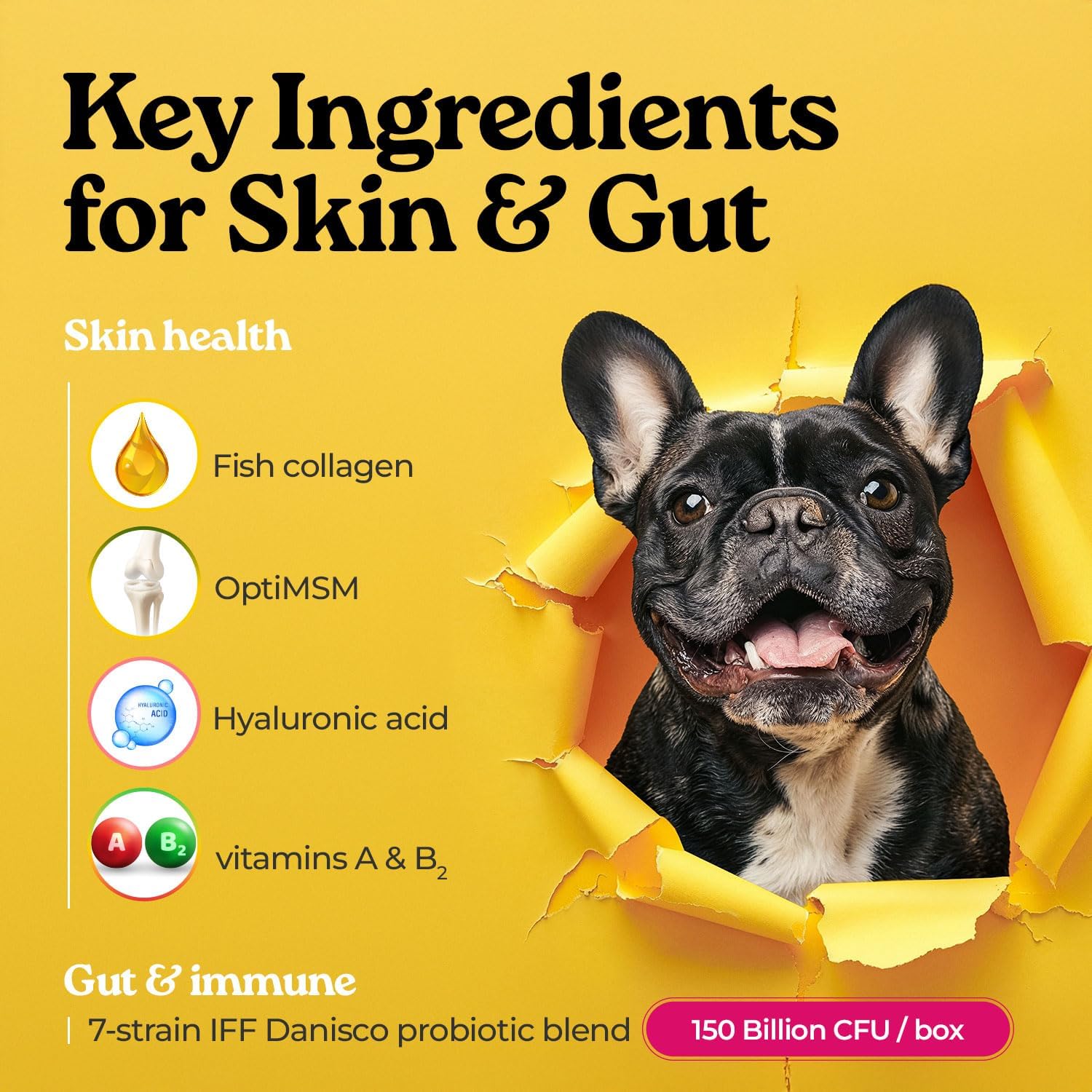 Pawbiotics Skin & Coat Probiotic Sticks for Dogs & Cats, 7-Strain Probiotic with KT-11, Collagen & Hyaluronic Acid, Skin Coat Gut & Immune Support, Blueberry Flavor, 30 Sticks (2.1 oz), Made in Korea