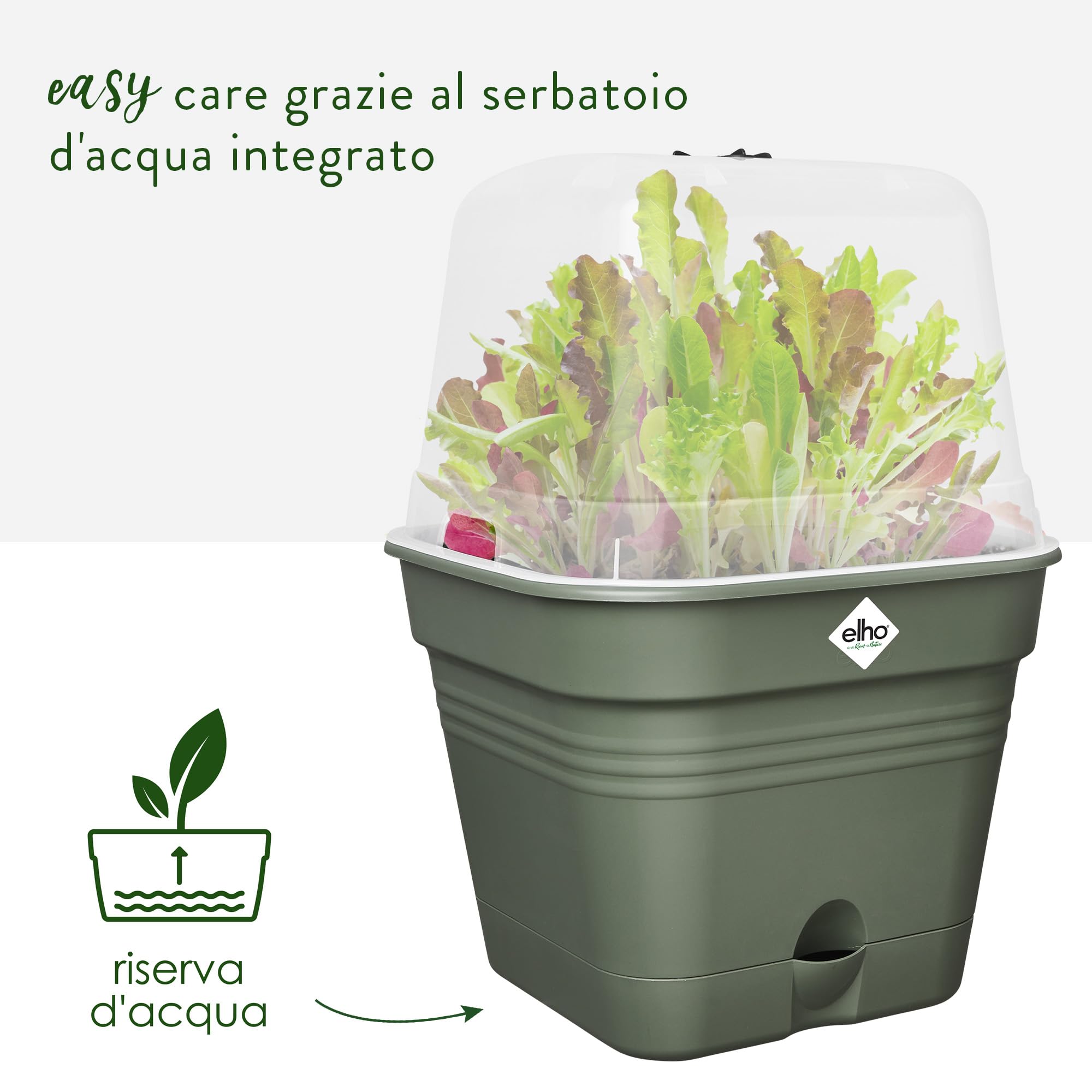 Elho Green Basics Growpot Square Allin1 15 - Vasetti per Piantine - Ø 15.0 x H 12.1 cm - Leaf Green