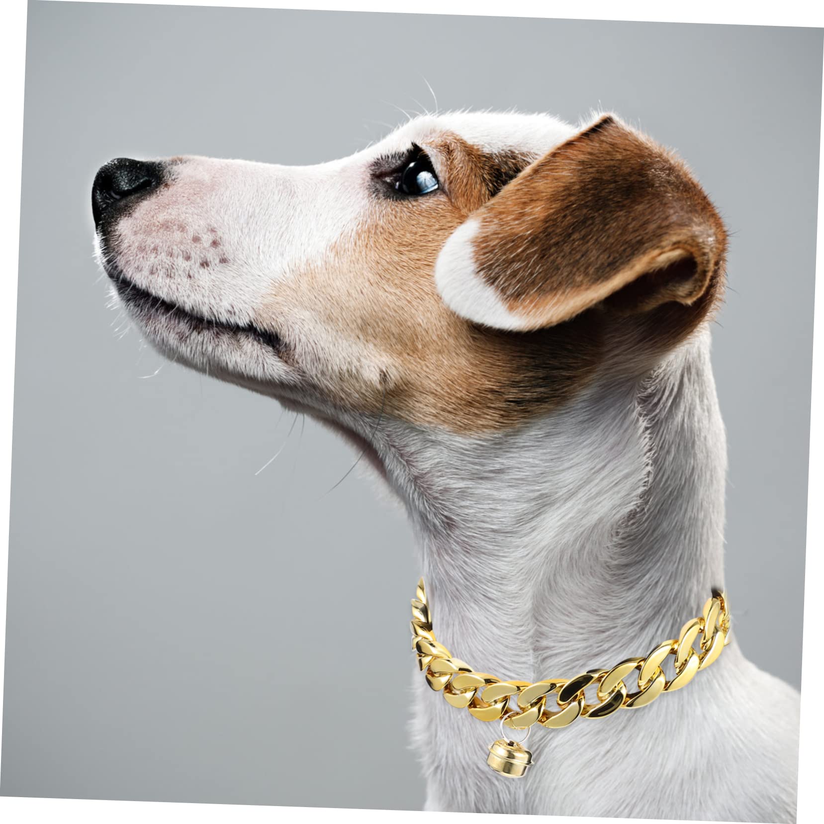 Collier Chaîne Plate Dorée À Mousqueton | Accessoires | PLT FR