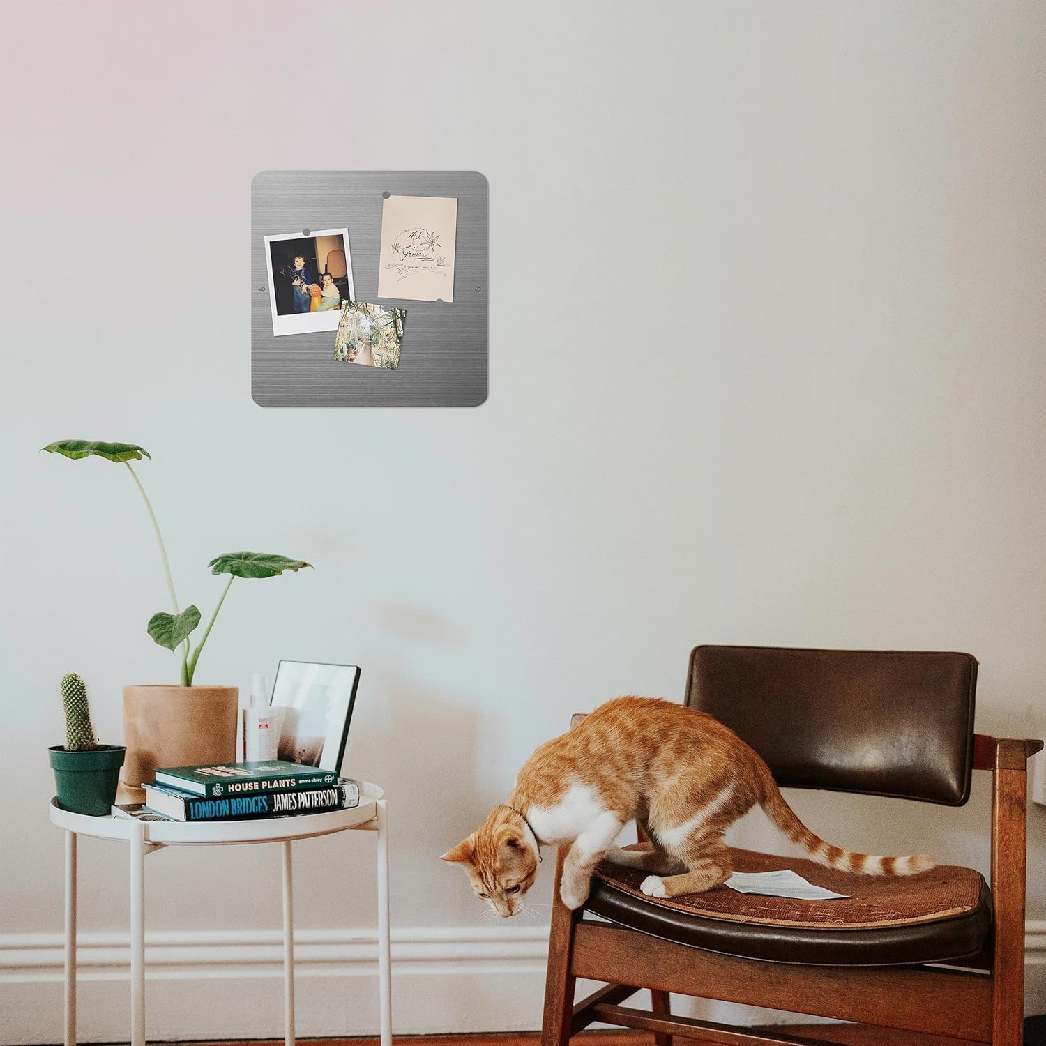 Three by Three Seattle 12 x 12 Inch Metal Frameless Magnetic Bulletin Board with 12 Magnets for Memos, Photos, Lists, and More in Office, Home, or School Décor (Stainless Steel) (32430)