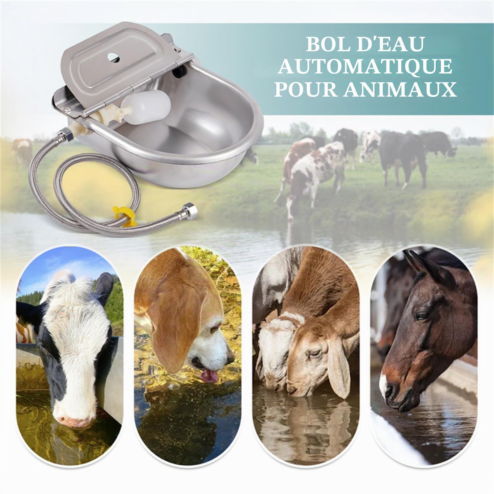 Abreuvoir automatique en acier inoxydable avec trou de drainage et tuyau tressé de 80 cm pour bovins, chevaux, moutons, chèvres, chiens