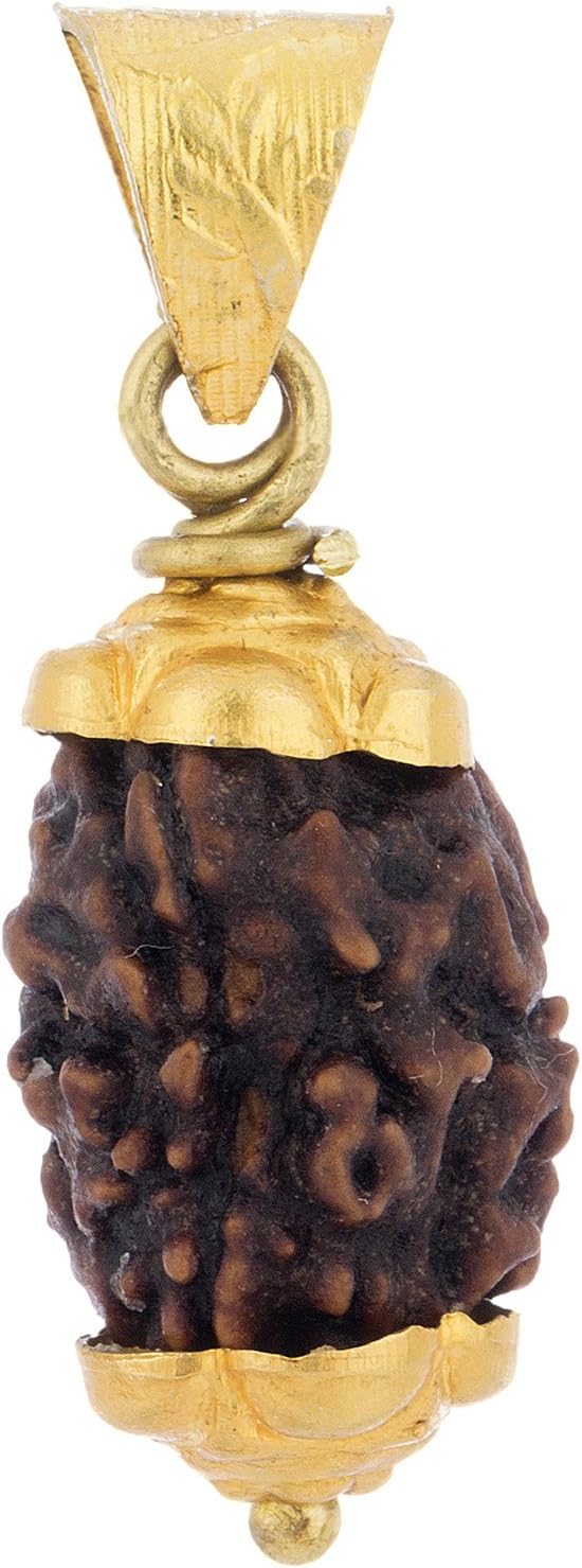 Astrology Paradise Three Face Panchdhatu Rudraksha Pendant