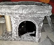 Review Image by Dham2 Dham2