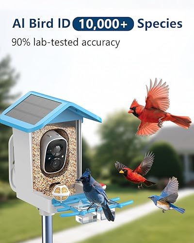 Miniatura 8 de Comedero para pájaros con cámara, alimentador solar inalámbrico para pájaros al aire libre, AI identifica más de 10000 especies de aves, captura