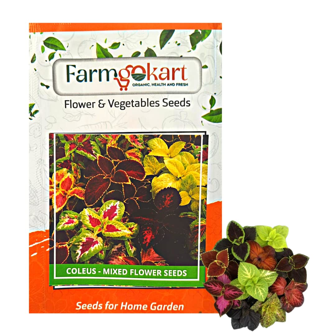 PACK OF 4000 SEEDS OF COLEUS - RAINBOW MIXED - SUMMER FLOWER SEEDS | GROWER/NURSERY PACK FOR HOME AND PROFESSIONAL GARDENING | (B0BX6GXKMV) Amazon Price History, Amazon Price Tracker