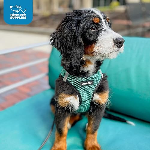 Vista 56 de Best Pet Supplies Voyager Step-in Air - Arnés de malla para todo tipo de clima, reflectante, antitirones, para perro y gato pequeño y mediano, Arnés