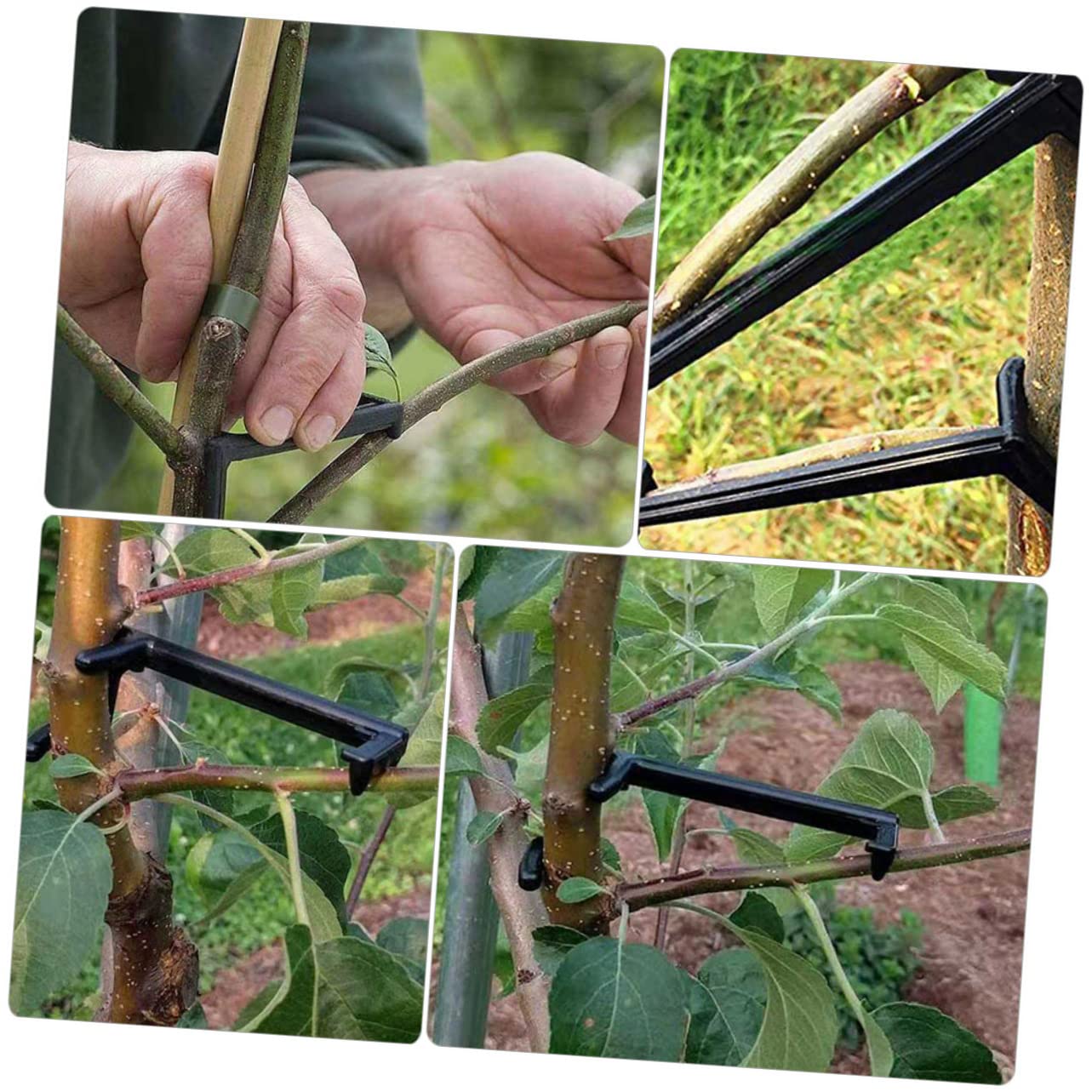 BESTonZON 2 Sätze Pflanzen Clips Teiliges Einstellbare Zweigbinder Für Obstbäume Praktische Gartenhilfe Zur Formung Äste Für Birnbäume Langlebig Und Benutzerfreundlich 25 Stück * 2