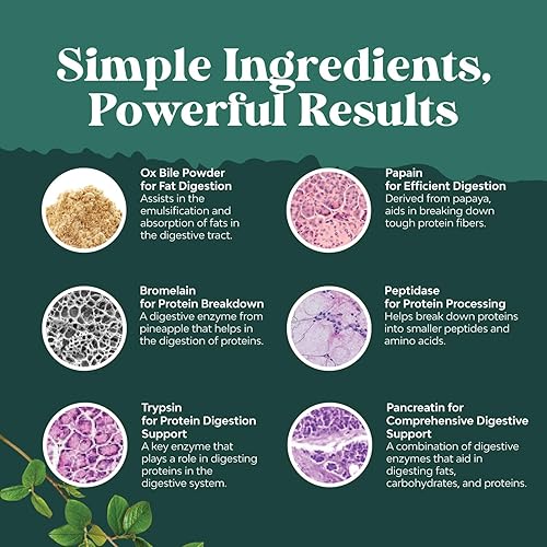 Miniatura 7 de Paquete de suplemento de fertilidad masculina antes de la concepción con CoQ10, raíz de maca, folato de metilo y ácido D-aspártico y enzimas