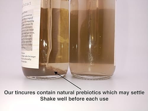 Miniatura 7 de Tintura orgánica de alcohol de hongos Maitake  Apoyo de bienestar, función inmunológica y refuerzo de energía  2 onzas de doble extracción, triple