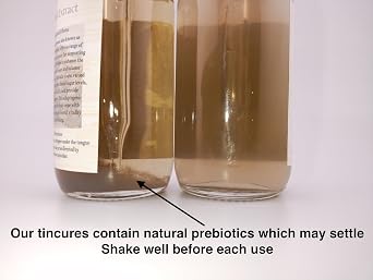 Gourmet Flavoring Variety Pack 4 Pack Deal Shiitake, Turkey Tail, Lions Mane, Maitake Liquid Mushroom Cooking s 4x2oz