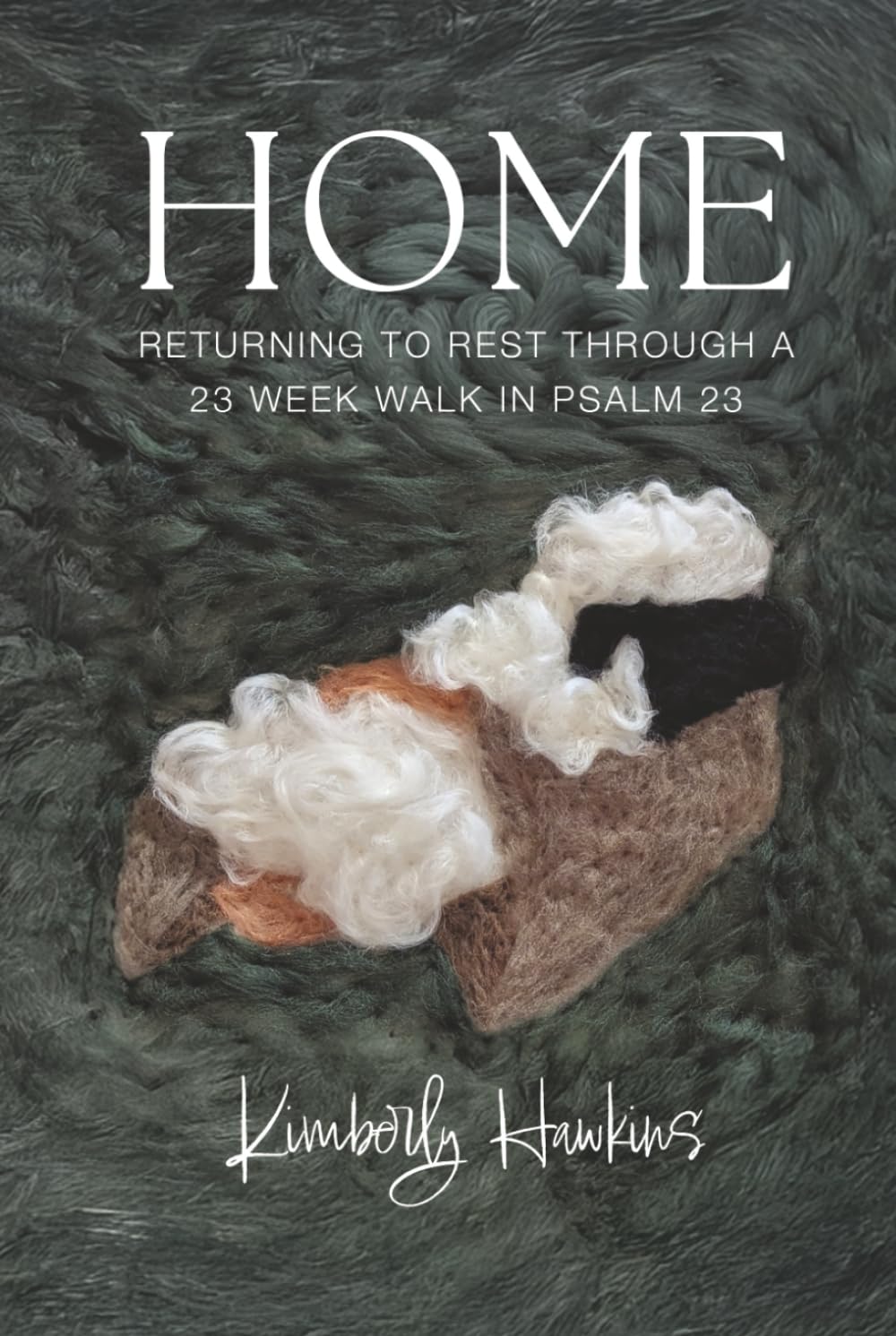 HOME: Returning To Rest Through a 23 Week Walk In Psalm 23
