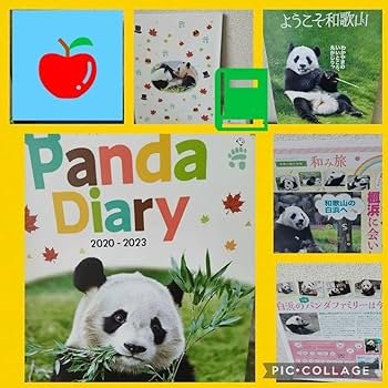 Amazon.co.jp: アドベンチャーワールドパンダダイアリー 楓浜