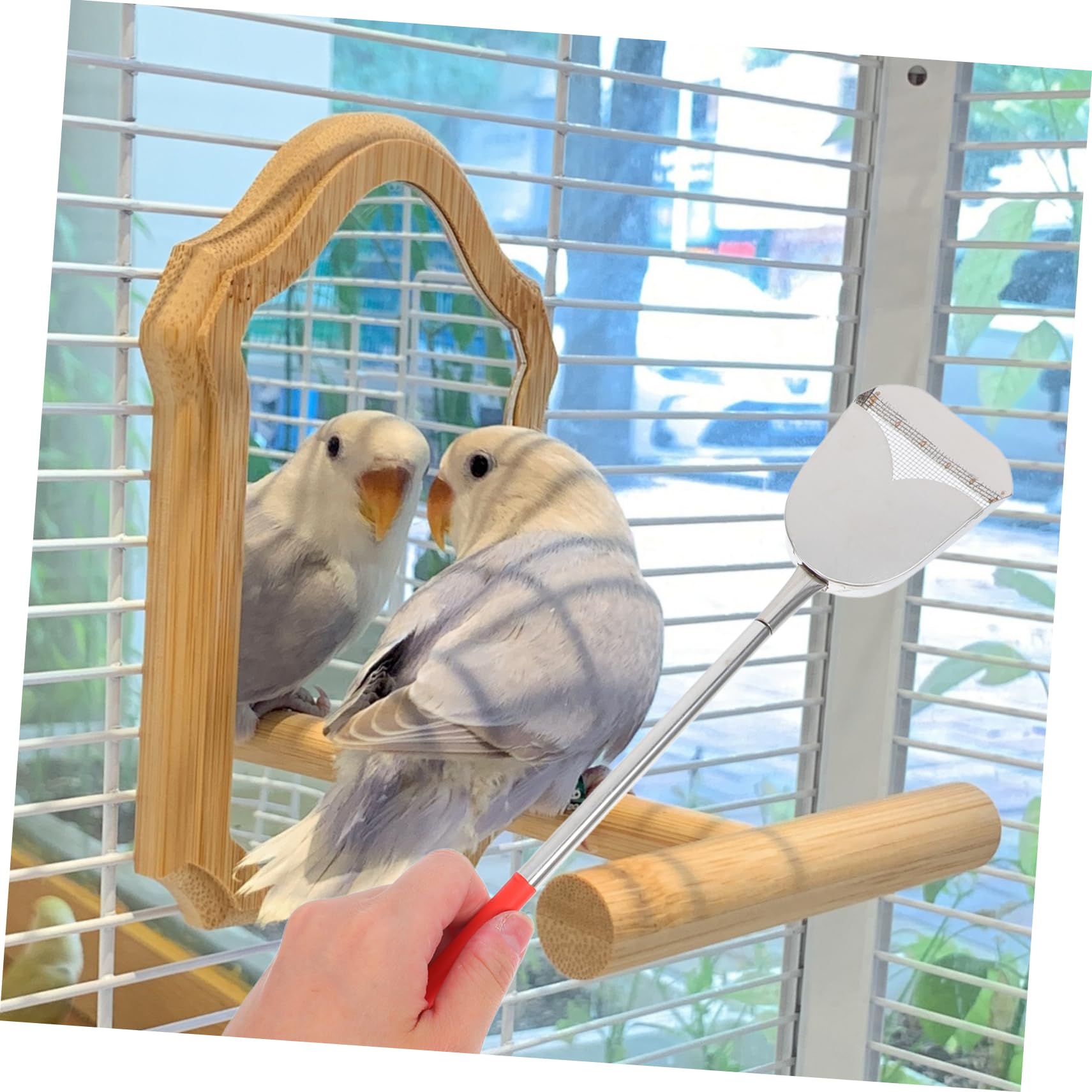 BESPORTBLE 2 Pezzi Spazzola Per La Pulizia Della Gabbia Degli Uccelli Attrezzi Per La Pulizia Della Casa Spazzole Per Mangiatoie Per Uccelli Pulitore Per Gabbie Di Piccoli Animali Forniture