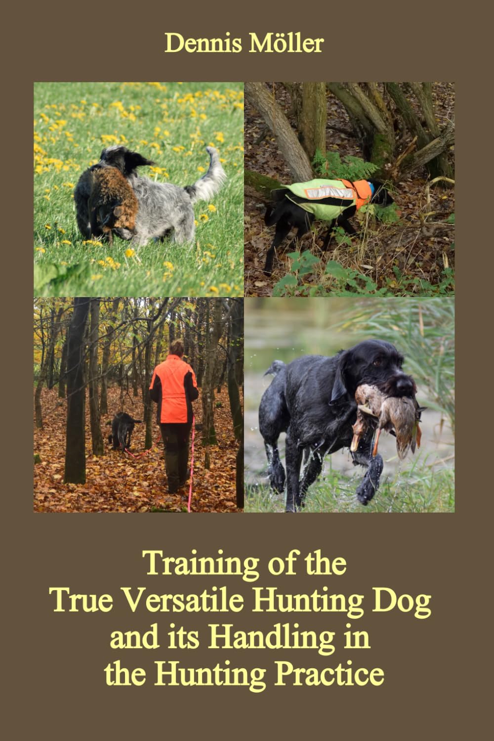 Training of the True Versatile Hunting Dog and its Handling in the Hunting Practice: Pointing, Retrieving, Flushing, Blood Tracking