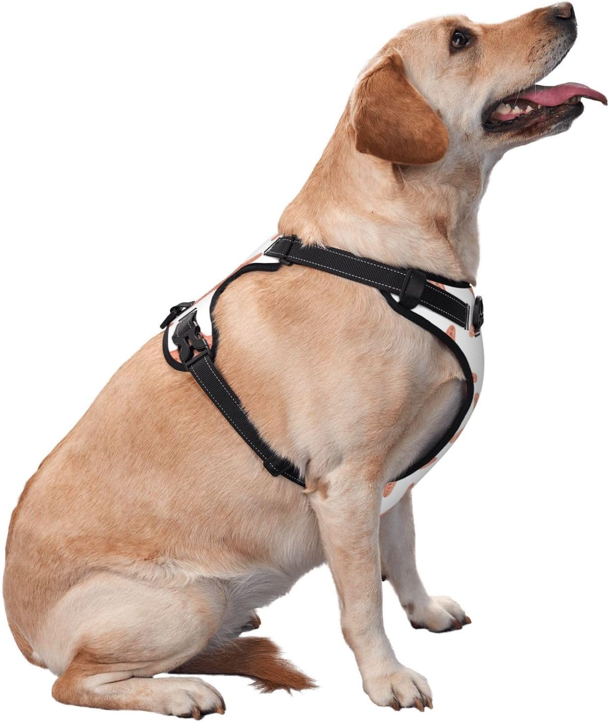 Starfish No Pull Dog Vest Harness for Small Medium Large Dog Puppy Pets Cats Outdoor Walking