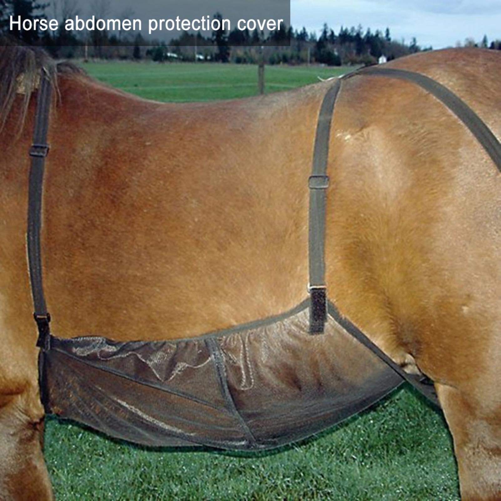 Protection ventilée pour cheval, filet abdominal respirant, 94 x 71 cm, large