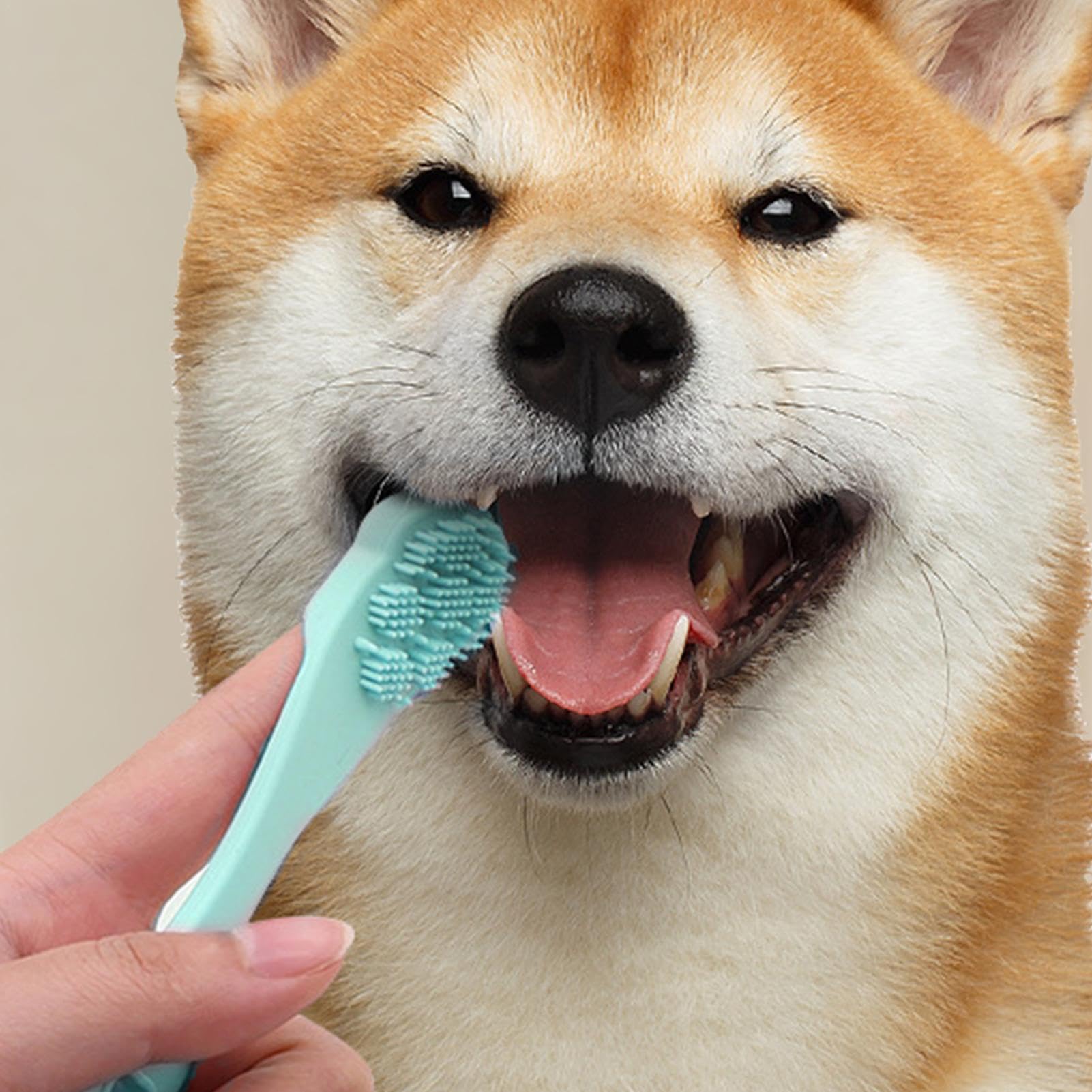 Spazzolino da denti in silicone per cani, spazzolino da denti per cani | spazzolatura dei denti di cane a forma di di gatto, spazzola per la pulizia dei denti di cane di alimentare