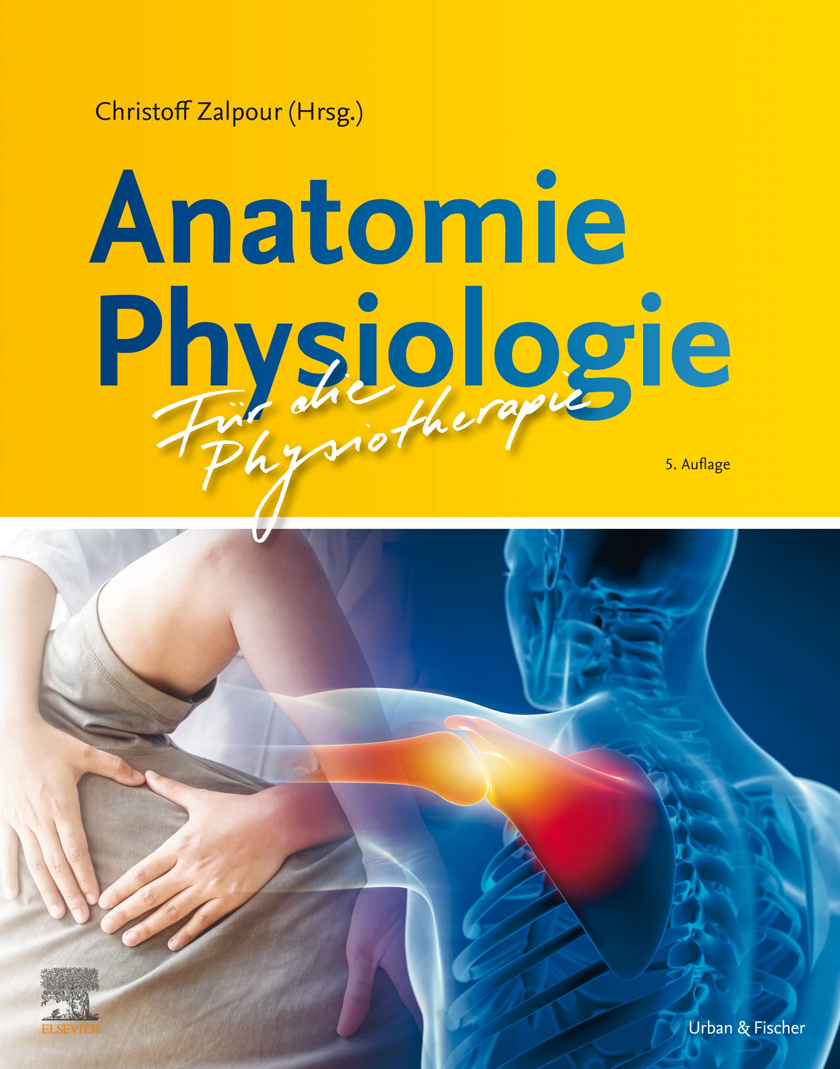 Anatomie Physiologie für die Physiotherapie (PHYSIOTHERAPIE-KG-MASSAGE - Lehrbuch - Urban&Fischer-Verlag)