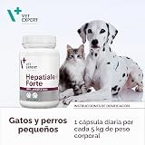 Ver la foto 5