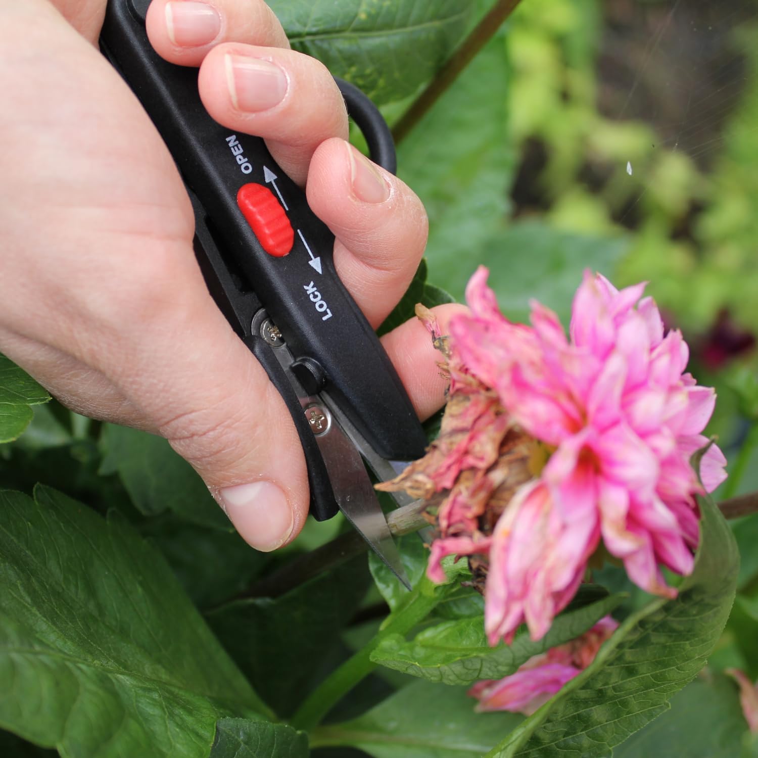 Darlac DP 125 Deadheading Snips