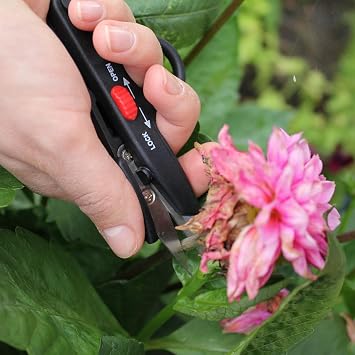 Darlac DP 125 Deadheading Snips