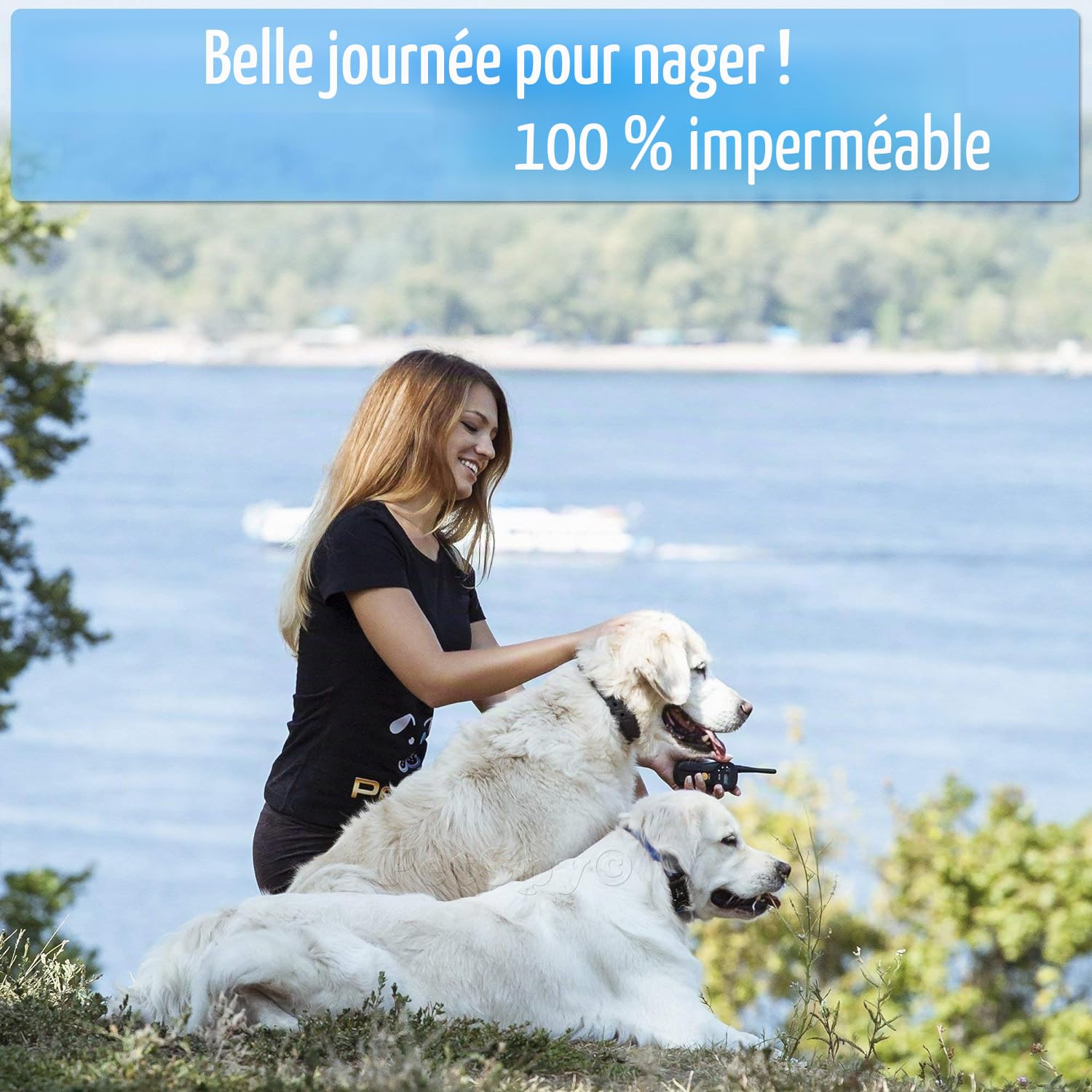 PetSpy – Collier de Dressage électrique pour Chiens avec Vibration, Choc et bip, qualité supérieure, Rechargeable et étanche, avec télécommande de Dressage, 4,5-63,5 kg - P620