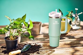 STANLEY Quencher H2.O FlowStateTM Tumbler 30oz Eucalyptus