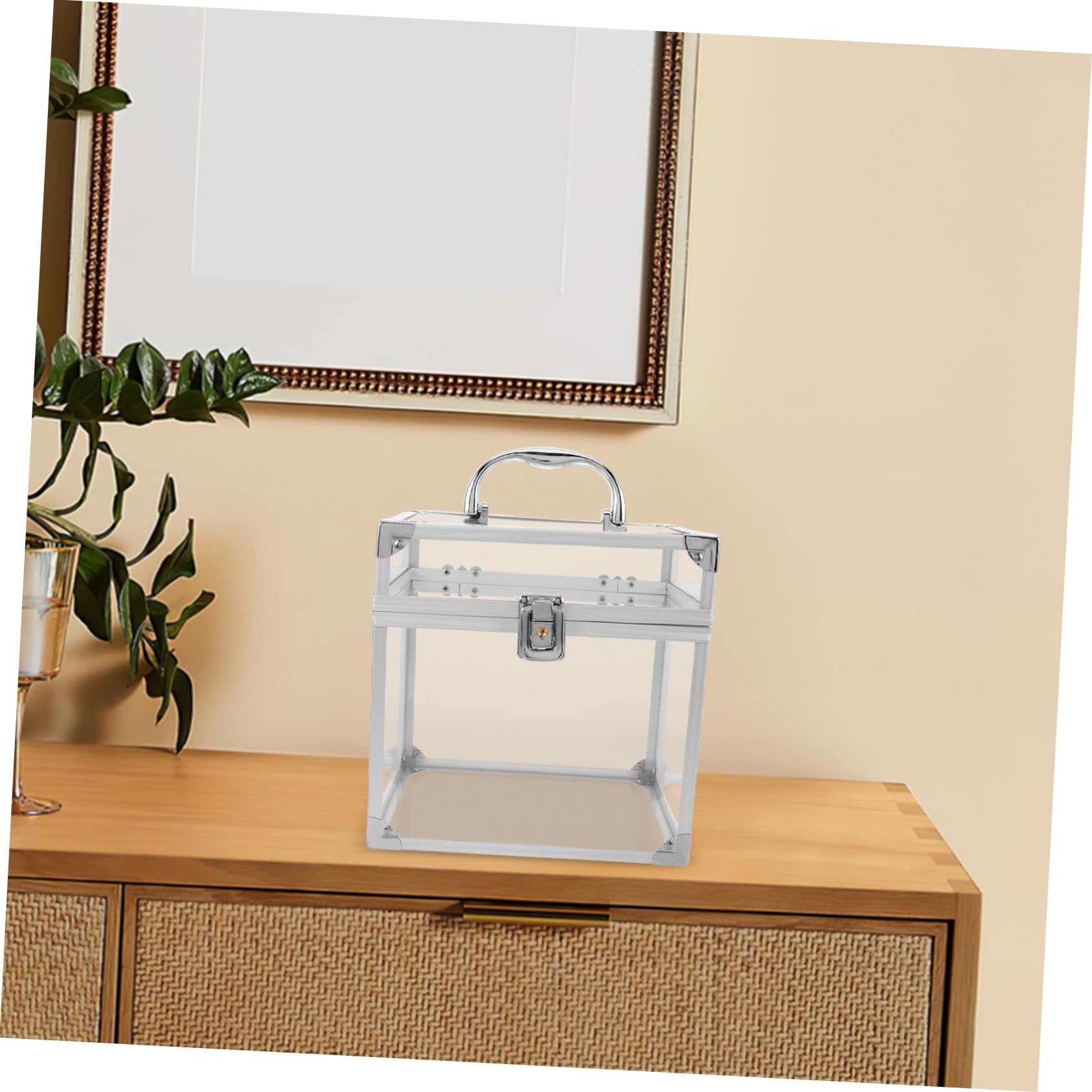 ULTECHNOVO Contenitore Acrilico per Dischi in Vinile con Manico Portatile, Scatola Grande Capacità per CD e Dvd, Organizer Raffinato per Casa e Soggiorno