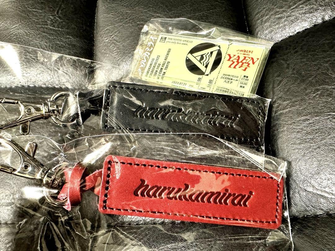 ハルカミライ グッズ