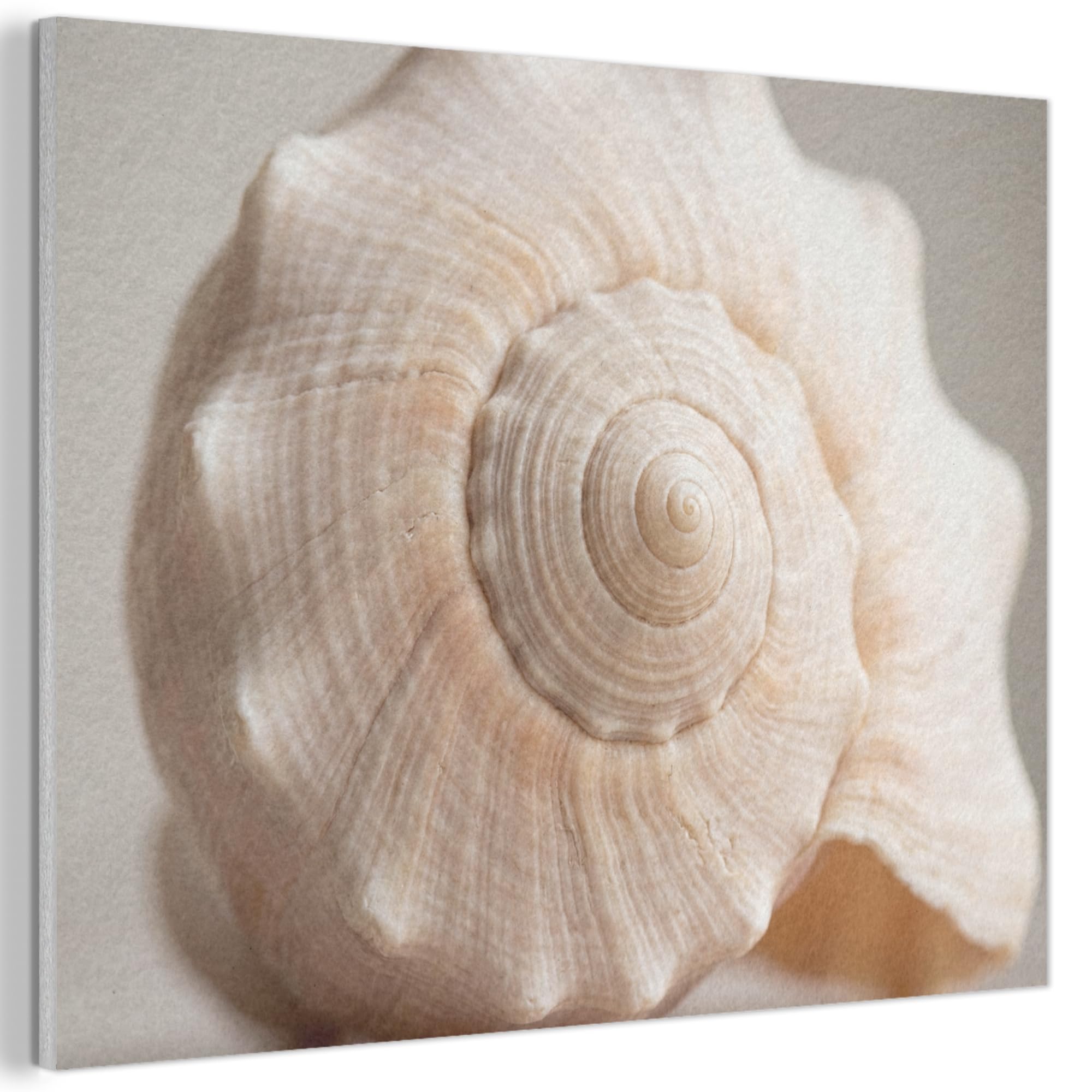 MuchoWow© Felt Panel 100x70 cm House Touch for Living Space Modern Visuals Decoration Wall Art Shell - Detail - Beige