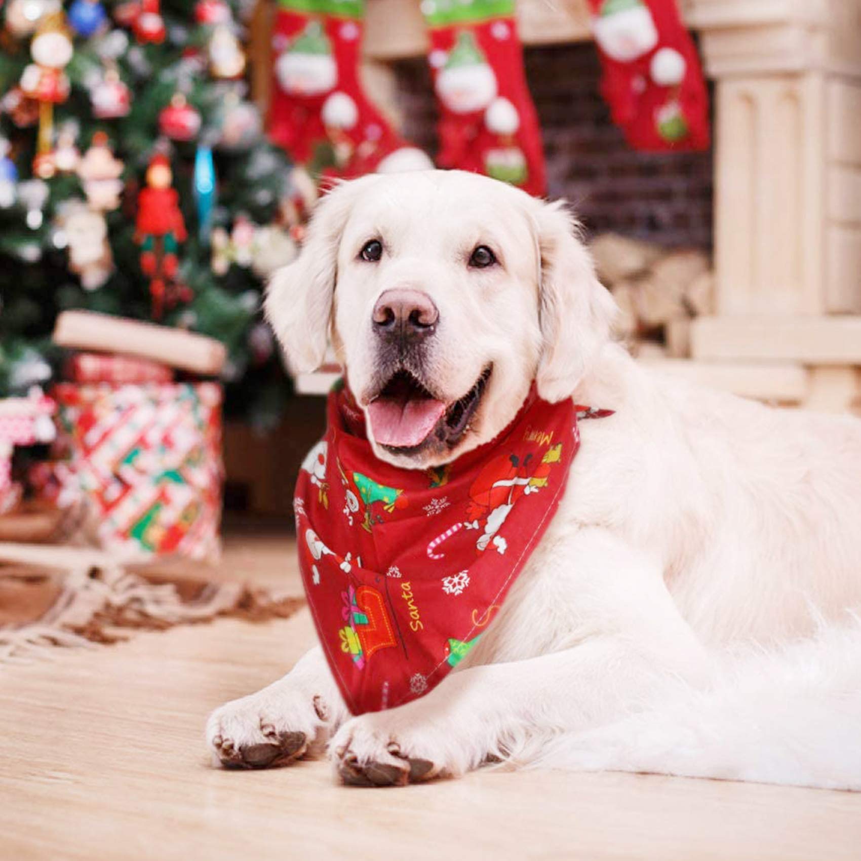 Set Natalizio Per Cani: 2 Bandane Triangolari + Cappello Di Babbo Natale, Regolabile, In Velluto E Poliestere
