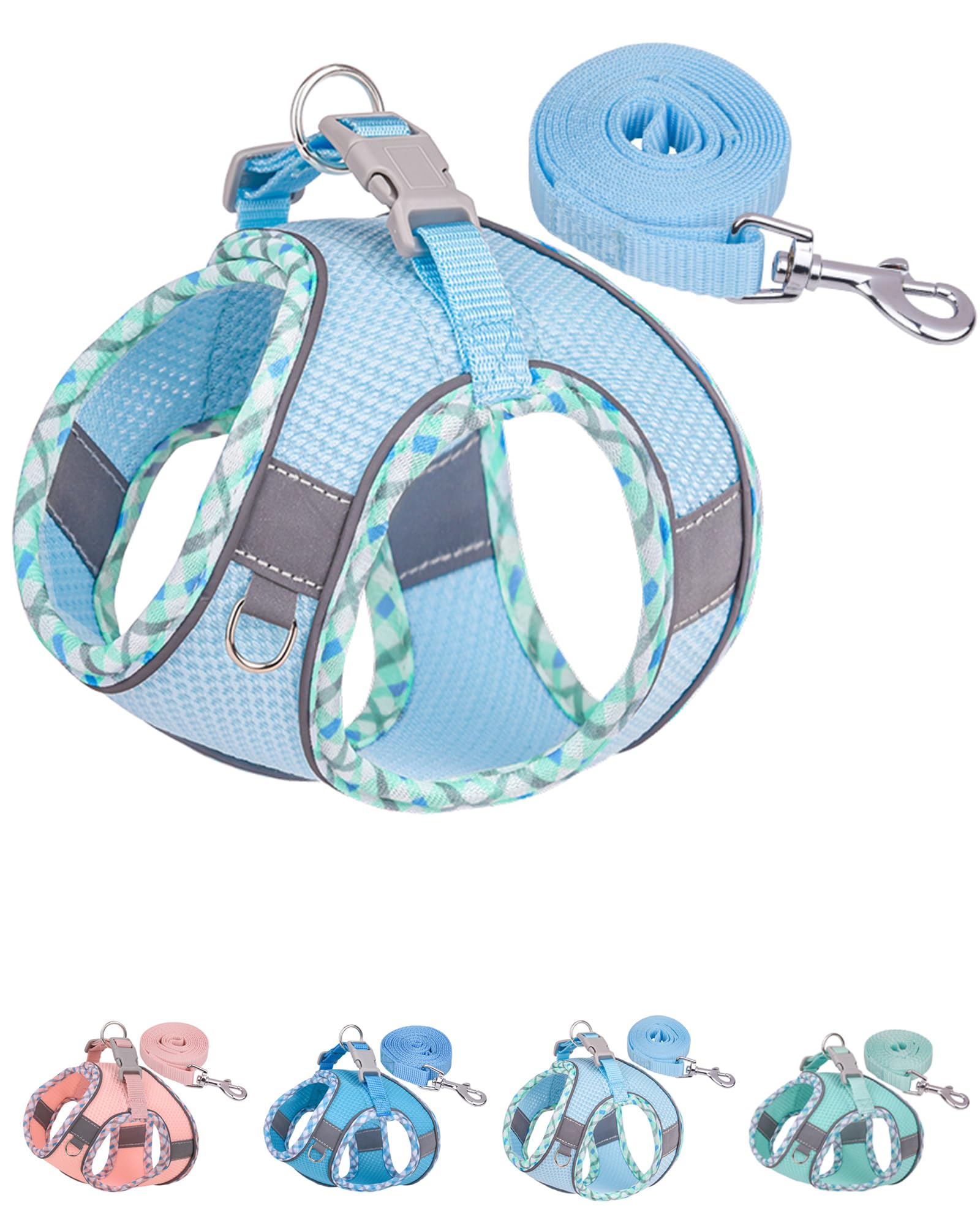 Petank Dog Harness for Small Medium Dogs No Pull, Puppy Harness and Leash Set,Step in Dog Harness for Walking, Running, Training, Small Dog Vest(Light Blue, XXS)