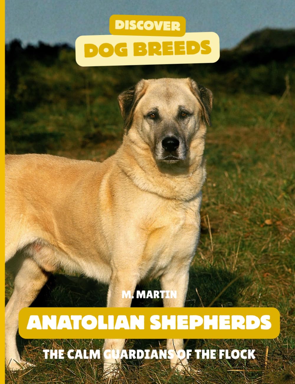Anatolian Shepherds: The Calm Guardians of the Flock (Discover Dog Breeds)