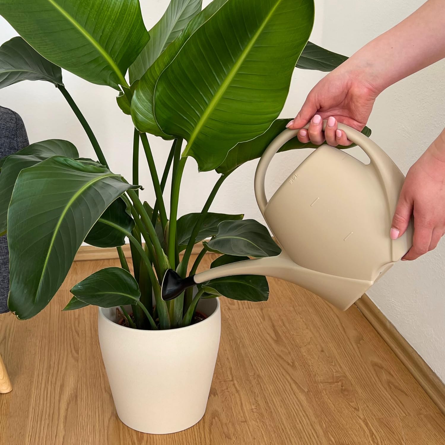Regadera pequeña con Ducha para Plantas de Interior 2,5 L – Regadera de plástico Regadera para Interior y Exterior – Ideal para Plantas de Interior, Gris Ceniza