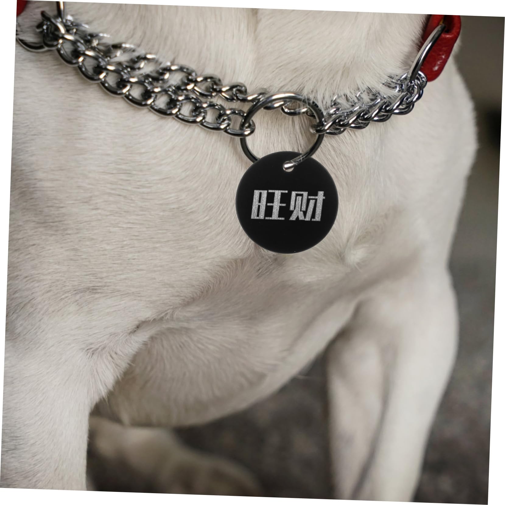 TEHAUX 250pezzi Targhette Identificative Alluminio Per Animali Domestici Medagliette Rotonde Fatte Per Incisione Accessori Personalizzabili Per Cuccioli e Cani Colore Nero