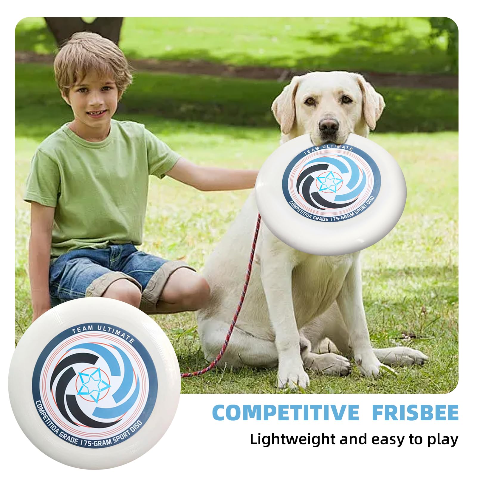 175g Frisbee competitivo de Ultimate, Frisbee Profesional Giratorio, Deportes Divertidos al Aire Libre, Adecuado para Jugadores Ocasionales y Profesionales (Bolsa de Almacenamiento)【Sección B】