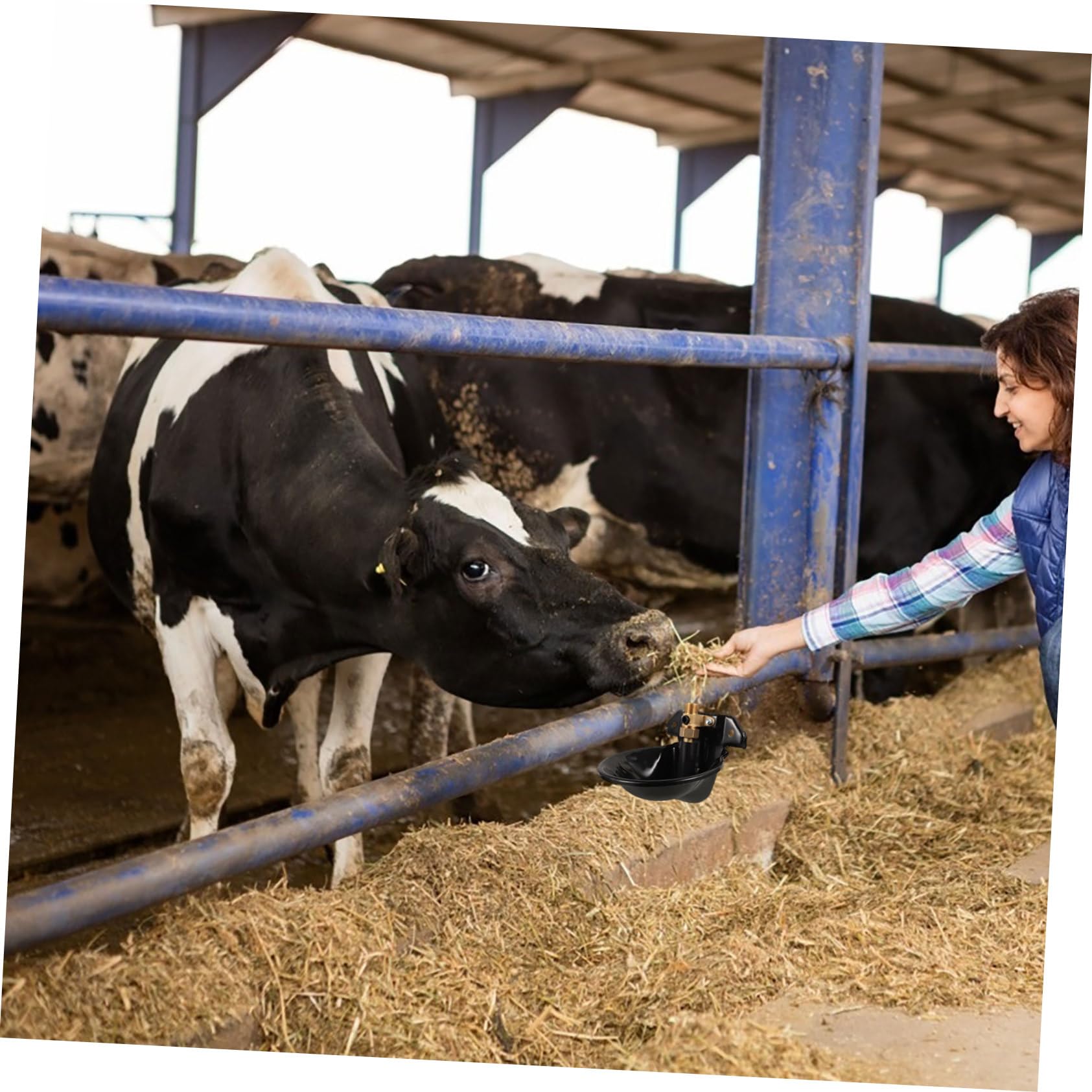 Abbeveratoio Automatico per Pecore e Cavalli, Acciaio Nero | Capienza Ampia, Forma a Ciotola, Risparmio Idrico e Protezione Contro gli Schizzi
