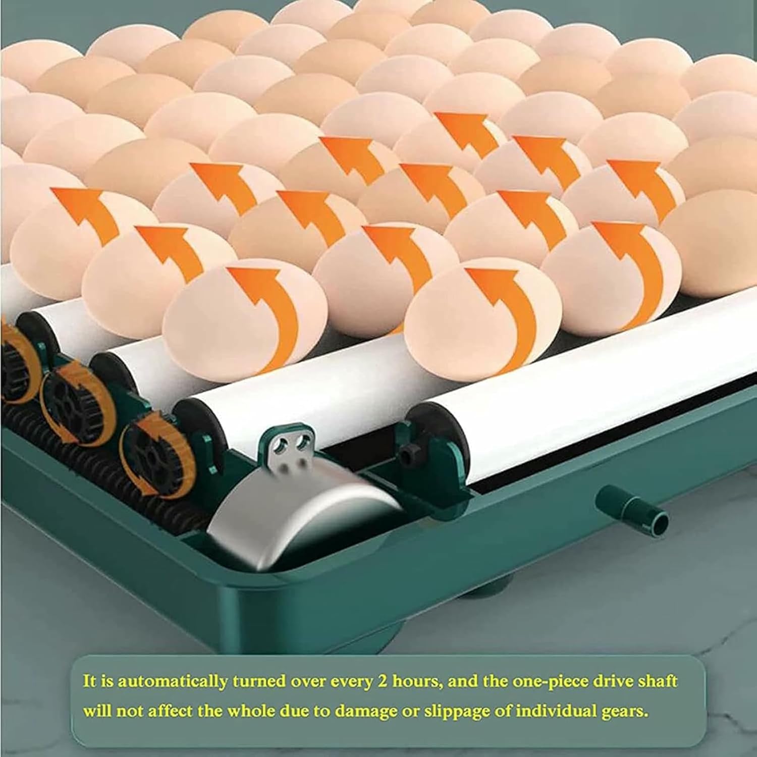 Egg Incubator, Eggs Hatching Incubator with Automatic Egg Turner, Humidity Temperature Control, Led Candler Egg Incubators Gift Set