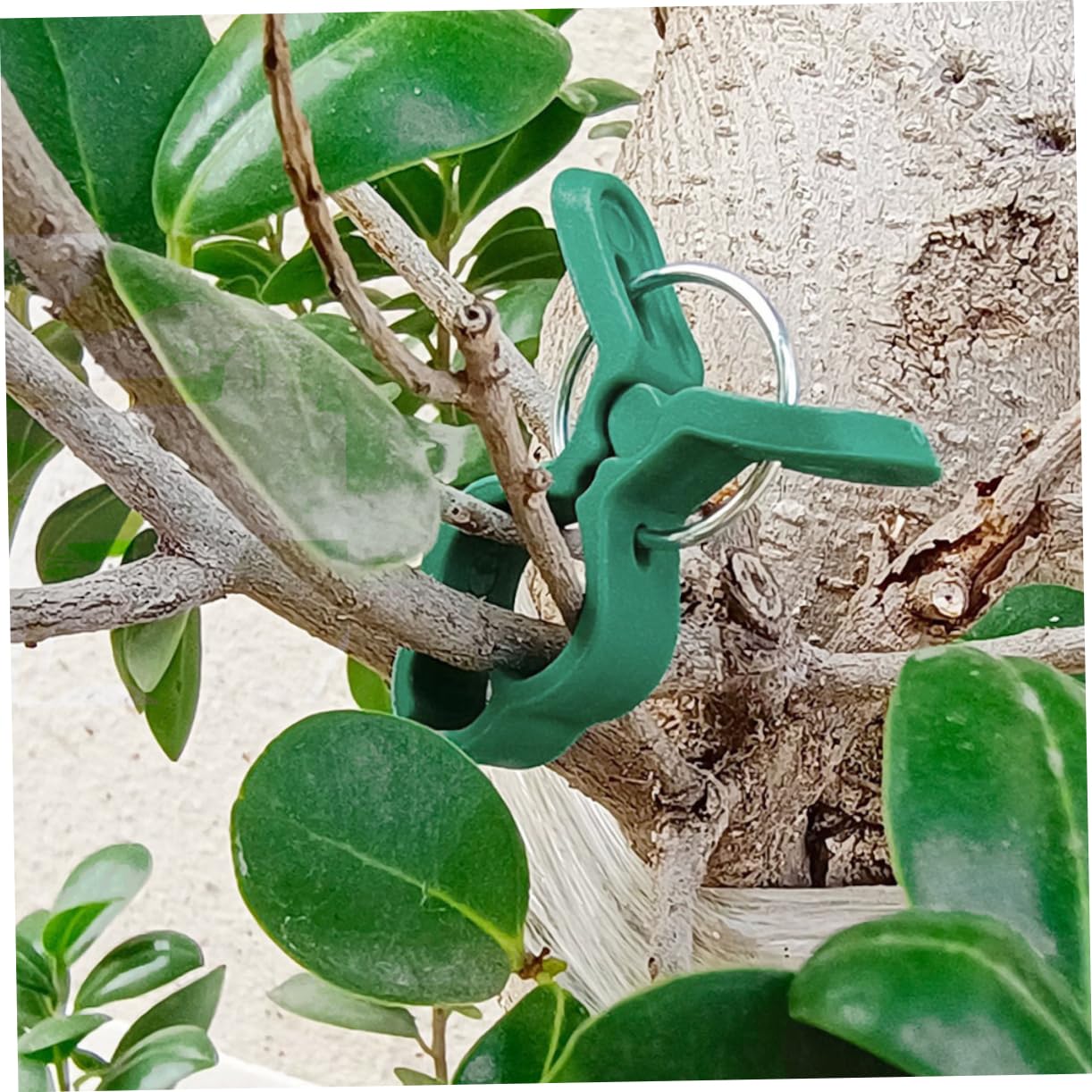 60stücke Pflanzenstützclips Gartenclips Zur Unterstützung Von Tomaten Orchideen Und Anderen Kletterpflanzen Flexible Und Robuste Rankhilfe Für Gesunde Pflanzenentwicklung
