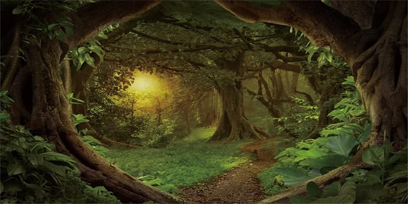 Fundo para Aquário e Terrário Floresta Verde em Vinil AWERT 75 x 45 cm