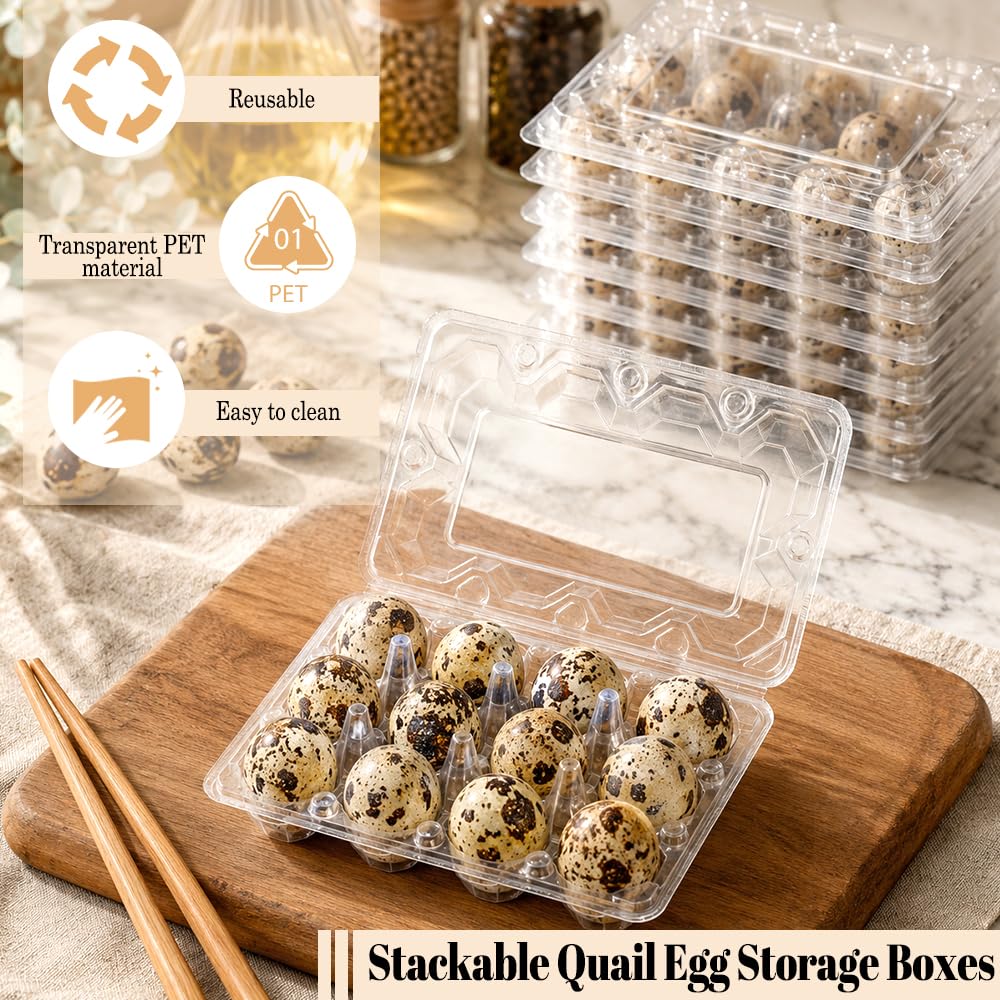 50 Pièces Boîte à Œufs de Caille,Conteneurs Pour œufs de Caille,Boîtes à œufs de Caille en Plastique,Modèle 12 œufs,Réutilisable, Gain de Place, Empilable et Transparent
