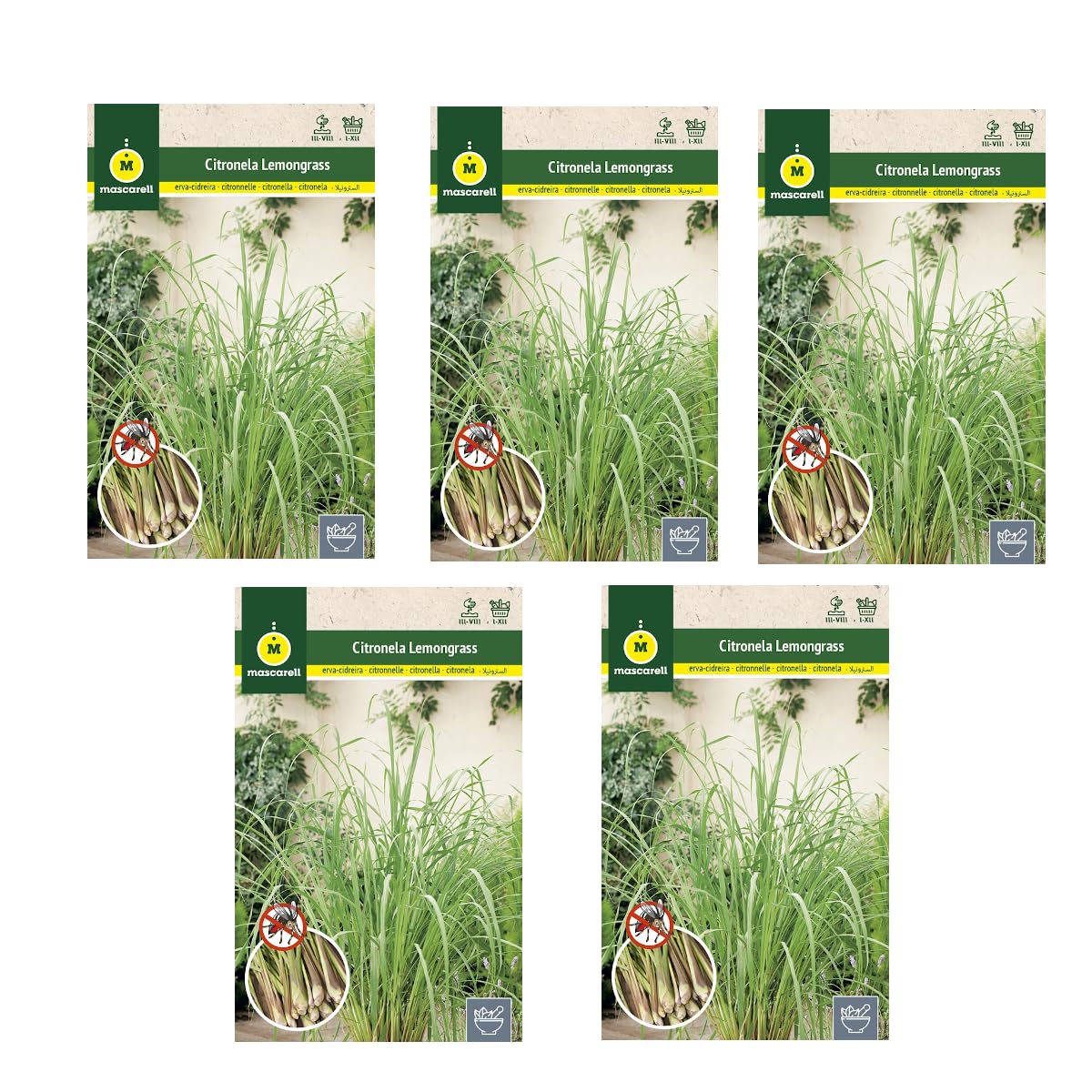 Citronella Pack 5 Sobres de Semillas de Plantas Antimosquitos Lemon Grass